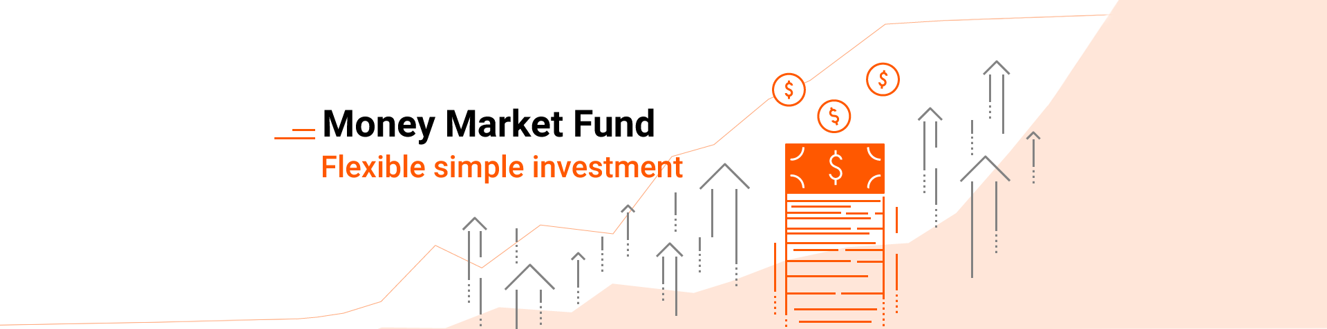 Money Market Fund - Flexible simple investment