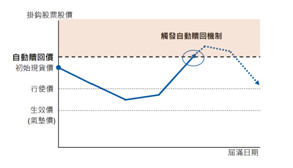 掛鈎股票股價大幅上升