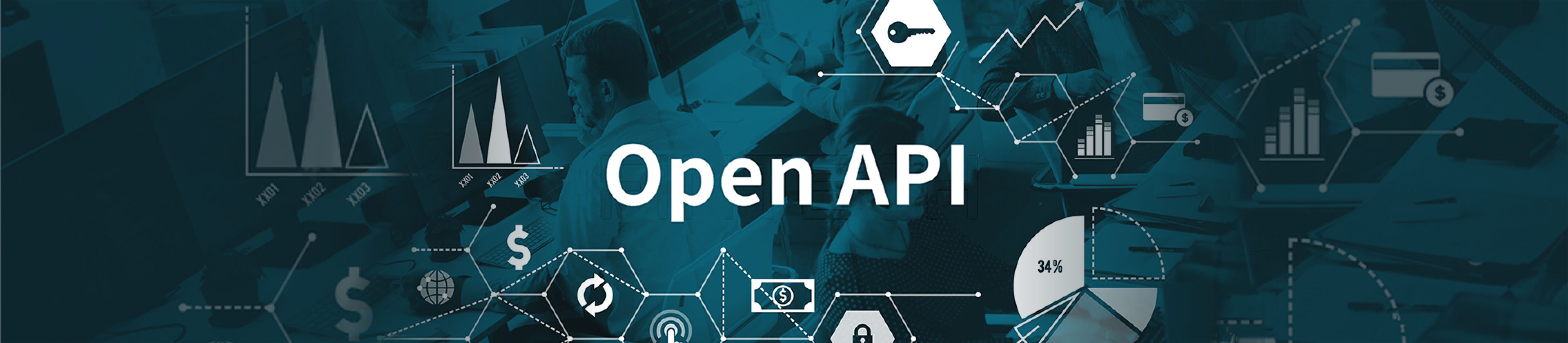 Open API